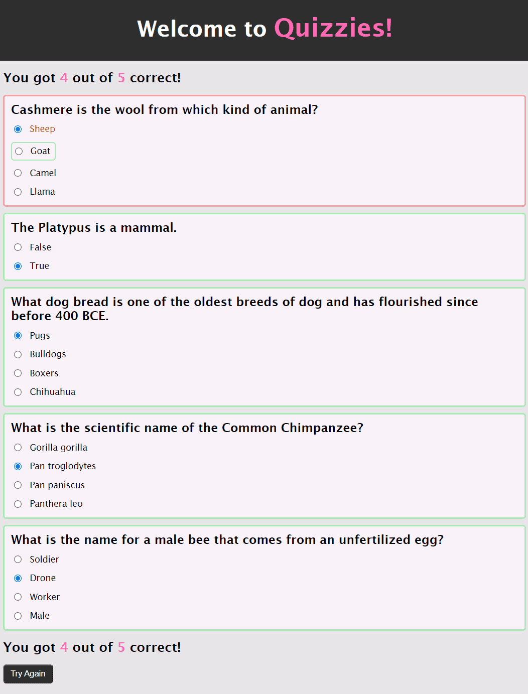 Quizzies Image